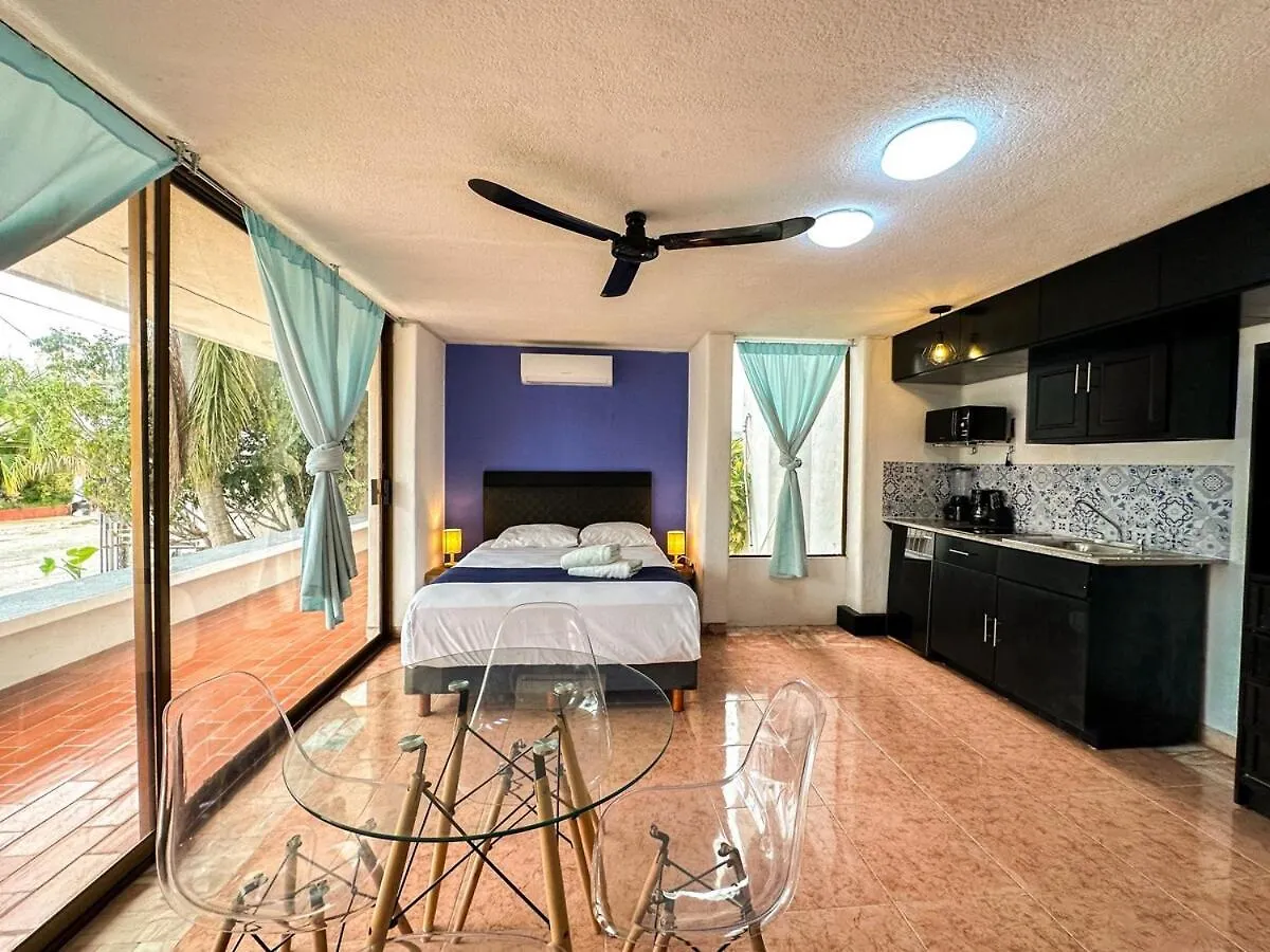 Santa Clara Great Loft With Pool And Billiards Apartment Merida Mexico